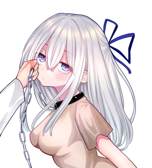 Kimi janakya Dame na Dorei Shoujo