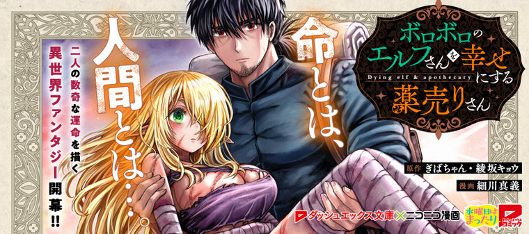 Boroboro no Elf-san wo Shiawase ni Suru Kusuriuri-san